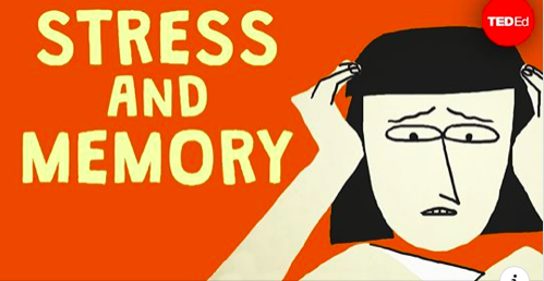 Stress and memory